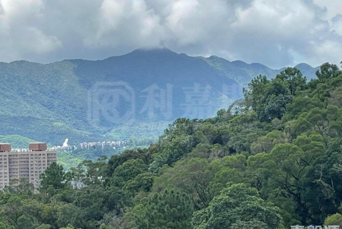 天鑽 8座 - 28NTS – 香港北部都會區