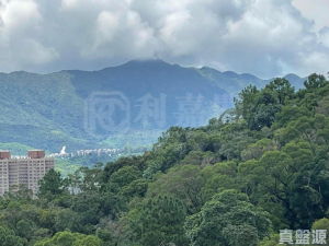 天鑽 8座 - 28NTS – 香港北部都會區