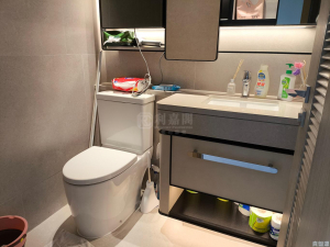 176271610277333cfd-b218-4854-a795-2a47b83b0d71.jpeg SILICON HILL 1期 翠景閣 第2座 - 28NTS – 香港北部都會區