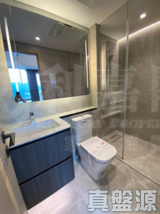 星凱．堤岸 5座 - 28NTS – 香港北部都會區