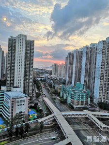 1763021816f49ea438-17b9-400a-933c-303a4ed16c16.jpeg 嘉湖山莊 5期 麗湖居 10座 - 28NTS – 香港北部都會區