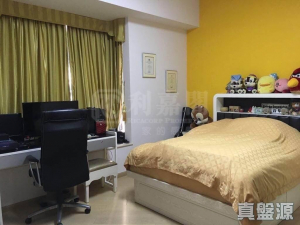 溱林 - 28NTS – 香港北部都會區