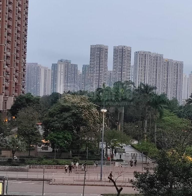 天頌苑 頌水閣 (D座) - 28NTS – 香港北部都會區