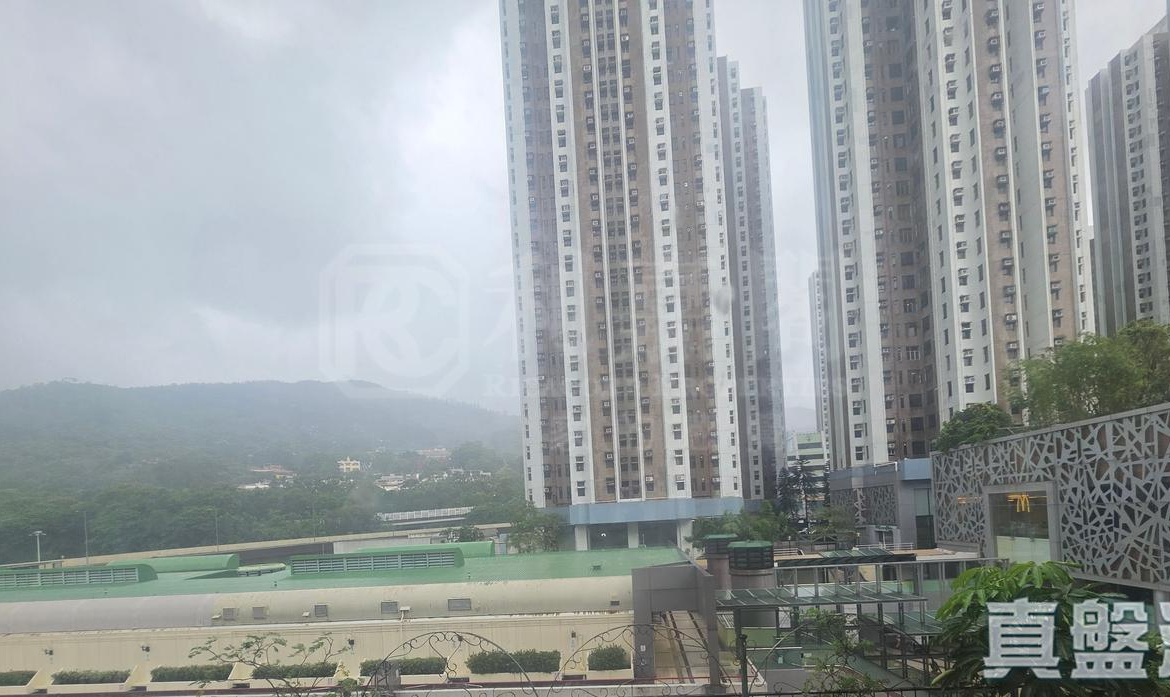 富華中心 - 28NTS – 香港北部都會區