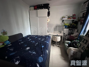 天頌苑 頌浩閣 (L座) - 28NTS – 香港北部都會區