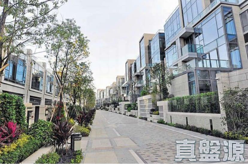 爾巒 珍諾華大道 6座 - 28NTS – 香港北部都會區