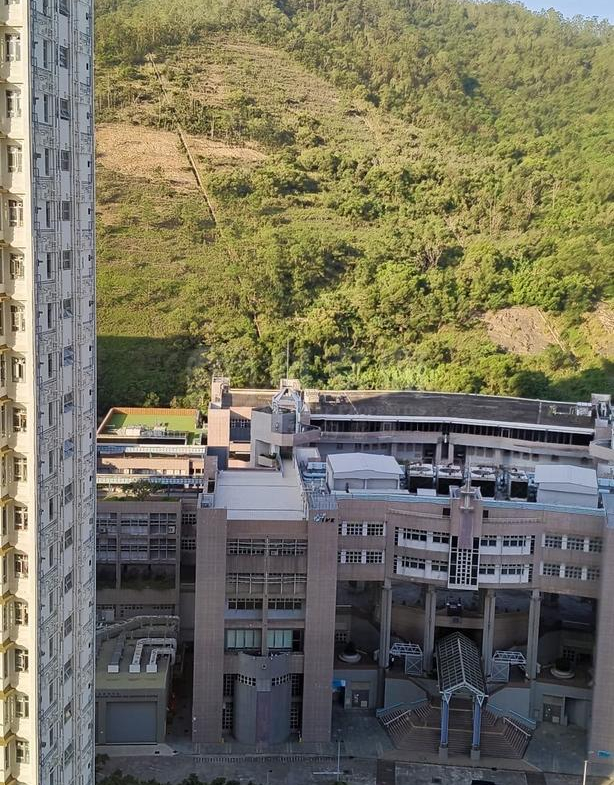 青富苑 B座 - 28NTS – 香港北部都會區