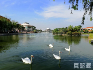錦繡花園 - 28NTS – 香港北部都會區