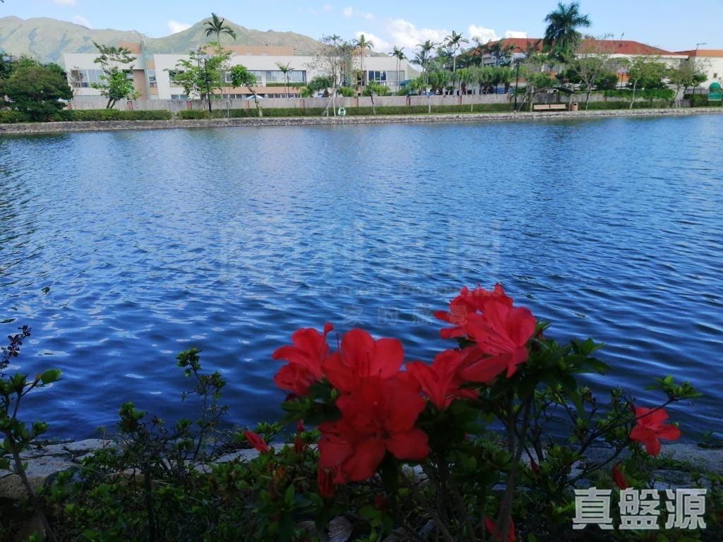 錦繡花園 - 28NTS – 香港北部都會區