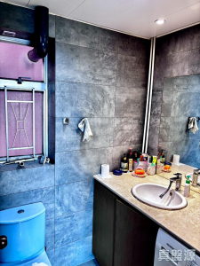 愉景新城 2期 7座 - 28NTS – 香港北部都會區