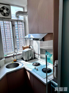 愉景新城 2期 7座 - 28NTS – 香港北部都會區