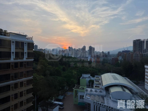 御景園 2座 - 28NTS – 香港北部都會區