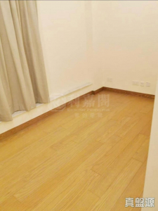 琨崙 - 28NTS – 香港北部都會區