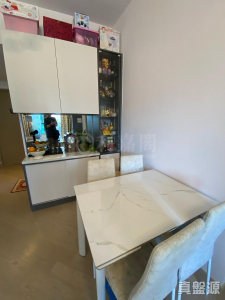 WETLAND SEASONS PARK 2期 11座 - 28NTS – 香港北部都會區