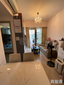 WETLAND SEASONS PARK 2期 11座 - 28NTS – 香港北部都會區