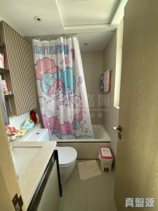 WETLAND SEASONS PARK 2期 11座 - 28NTS – 香港北部都會區