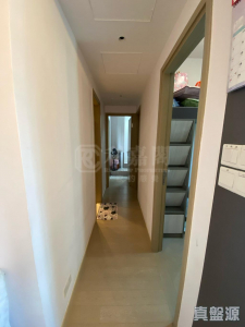 WETLAND SEASONS PARK 2期 11座 - 28NTS – 香港北部都會區