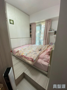 WETLAND SEASONS PARK 2期 11座 - 28NTS – 香港北部都會區