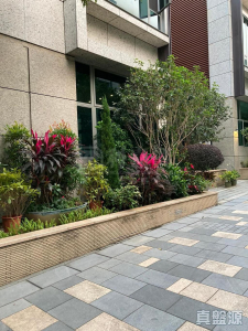 1763040455be7548d2-4c8f-48e1-b54a-8218134d4883.jpeg 柏巒 1期 - 28NTS – 香港北部都會區