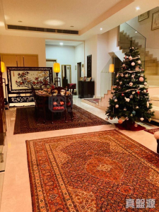 17630404585b430a27-91f7-45f8-8489-50566d18ebad.jpeg 柏巒 1期 - 28NTS – 香港北部都會區