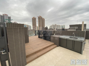 1763042038a5e28653-b962-42e8-9676-f1e19bcf544b.jpeg WETLAND SEASONS PARK 1期 22座 - 28NTS – 香港北部都會區