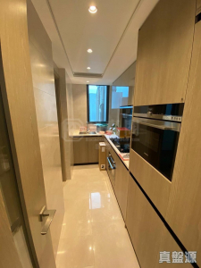 1763042062c65018e5-b159-407f-9d4d-e5b9b6092485.jpeg WETLAND SEASONS PARK 1期 22座 - 28NTS – 香港北部都會區