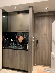 蝶翠峰 5期 尚悅‧嶺 1座 - 28NTS – 香港北部都會區