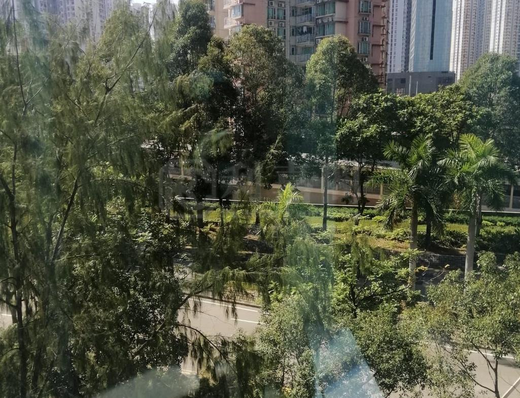 WETLAND SEASONS PARK 2期 5座 - 28NTS – 香港北部都會區