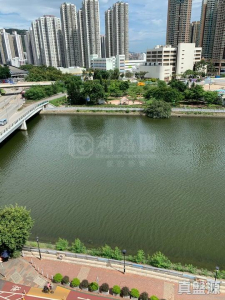 1763045132671b2fb0-b95c-4c74-94fd-b84b823dd49d.jpeg 弦海 - 28NTS – 香港北部都會區