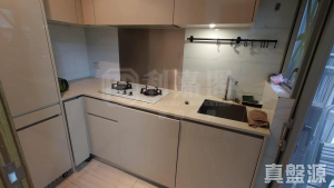 1763045650c0335597-5595-4526-a273-d4e5348d5a06.jpeg 尚悅 5座 - 28NTS – 香港北部都會區