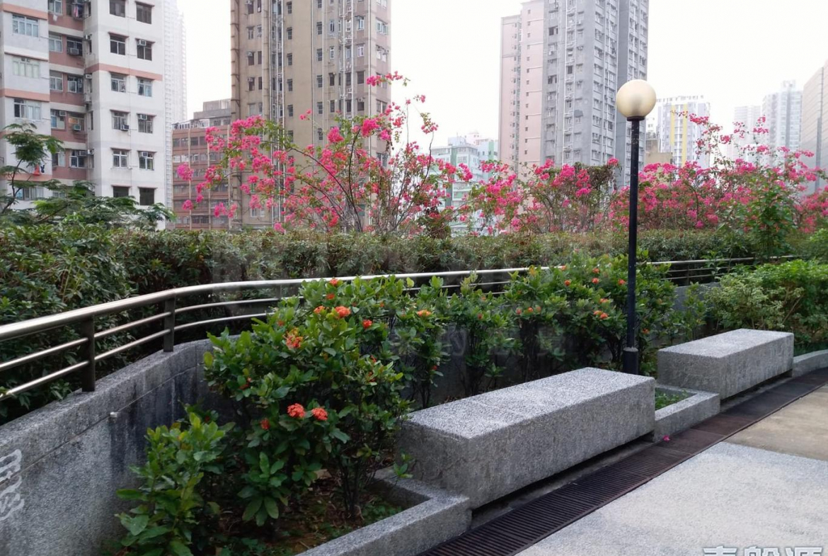 荃豐中心 - 28NTS – 香港北部都會區