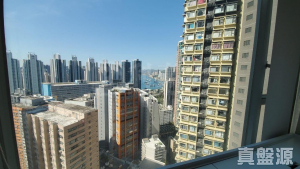 樂悠居 - 28NTS – 香港北部都會區