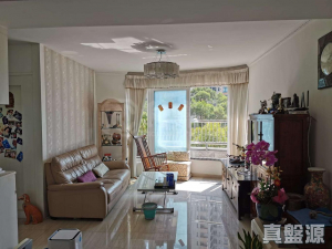 豪景花園 3期 21座 - 28NTS – 香港北部都會區