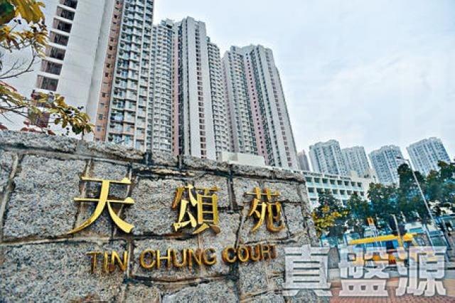 天頌苑 頌畫閣 (P座) - 28NTS – 香港北部都會區