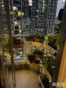 17633680212a74f7cf-35ff-430a-b802-4e665c8221bc.jpeg 尚悅 3座 - 28NTS – 香港北部都會區