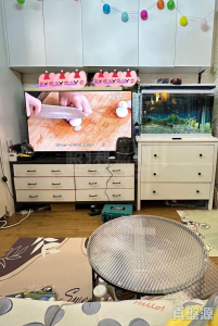 山景邨 景華樓 (4座) - 28NTS – 香港北部都會區