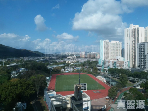 疊茵庭 8座 - 28NTS – 香港北部都會區