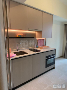 NOVO LAND 3B期 Fiskars 2A座 - 28NTS – 香港北部都會區