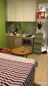 丹桂村路65-89號 尚築 - 28NTS – 香港北部都會區