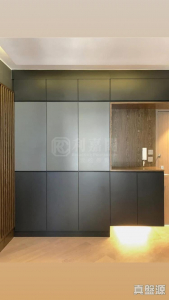 翠鳴臺 - 28NTS – 香港北部都會區