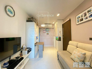 環宇海灣 1座 - 28NTS – 香港北部都會區