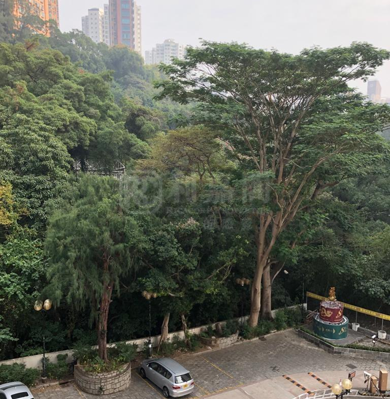 容龍居 - 28NTS – 香港北部都會區