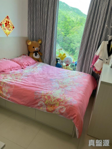 滿名山 滿庭 6座 - 28NTS – 香港北部都會區