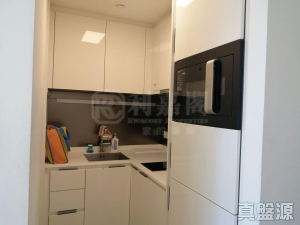 朗屏8號 5座 - 28NTS – 香港北部都會區