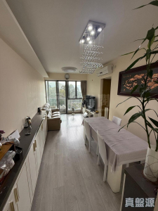 1763402465d96fa4f2-d662-4ca0-afc0-8bd9b18e6a39.jpeg 尚悅 7座 - 28NTS – 香港北部都會區