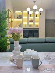 順豐大廈 - 28NTS – 香港北部都會區