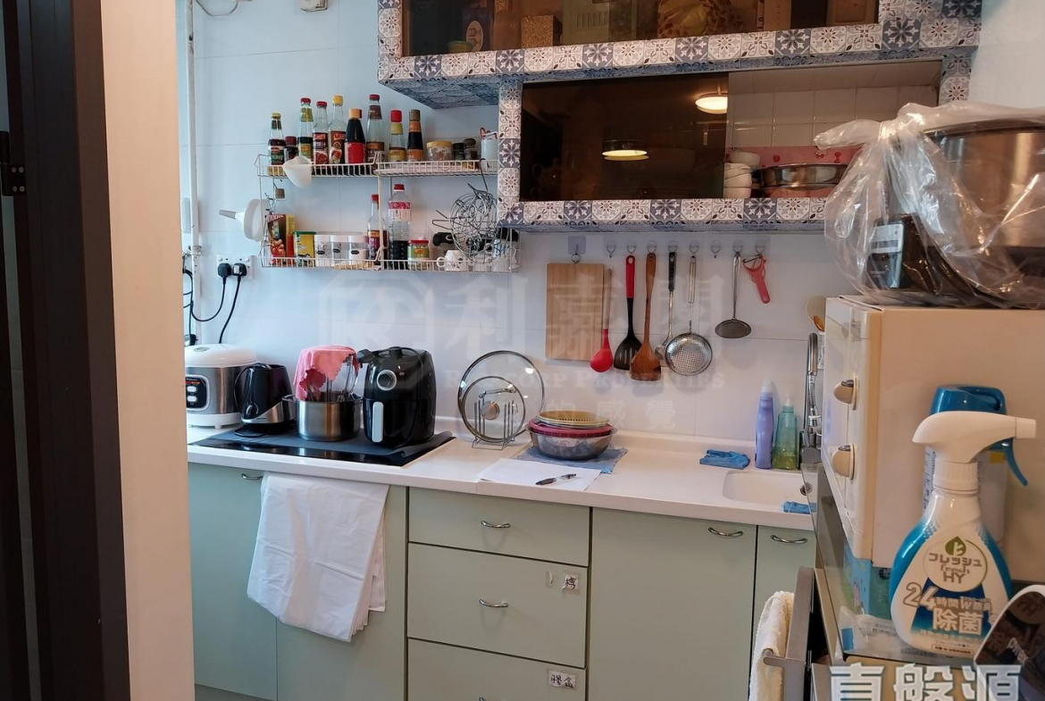 兆隆苑 - 28NTS – 香港北部都會區