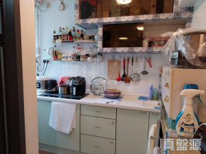 兆隆苑 - 28NTS – 香港北部都會區