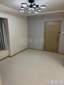 興隆中心 - 28NTS – 香港北部都會區