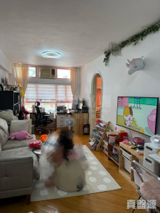 香港黃金海岸 1座 - 28NTS – 香港北部都會區